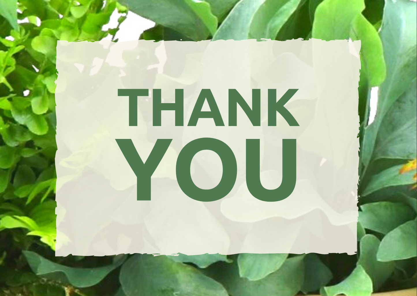 Grußkarte 'Thank you'