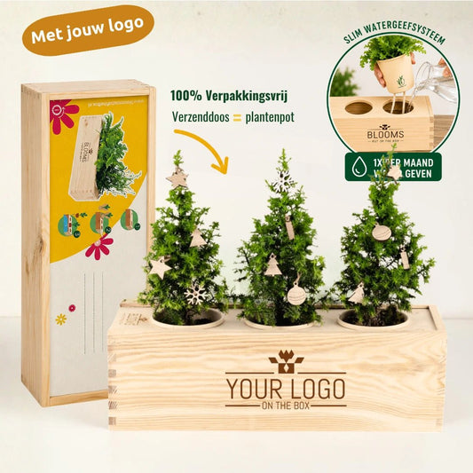 BloomsBox 'Merry Xmas' - versierde kerstboompjes - Blooms out of the Box