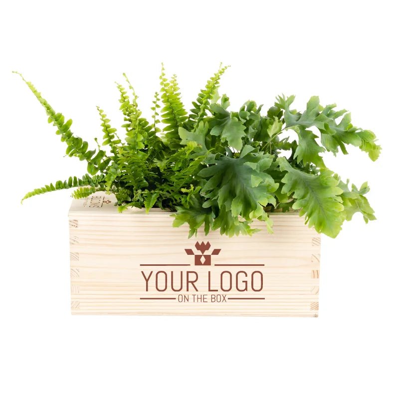 Ervaar zelf: kerst relatiegeschenk met jouw logo! - Blooms out of the Box