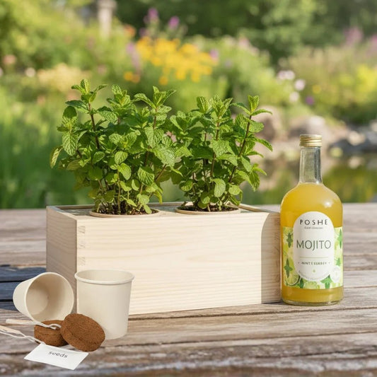 Happy Herbals - Mojito - duurzaam bloem- & plantcadeau | Blooms out of the Box