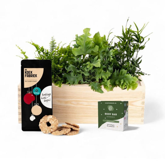 Nature 'Impact inside' - L - Blooms out of the Box