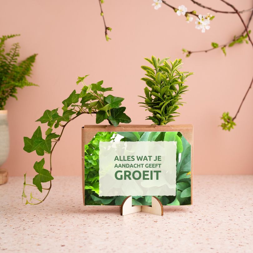 Nature out of the Box - Mini (vanaf 10) - Blooms out of the Box