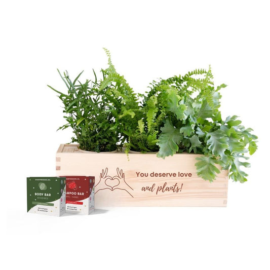 Nature 'Winter Wellness' - L - Blooms out of the Box