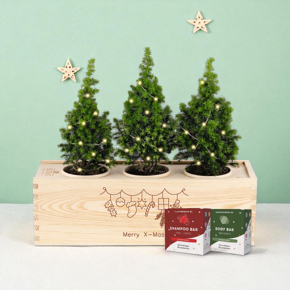 Xmas 'Winter wellness' - L - Blooms out of the Box