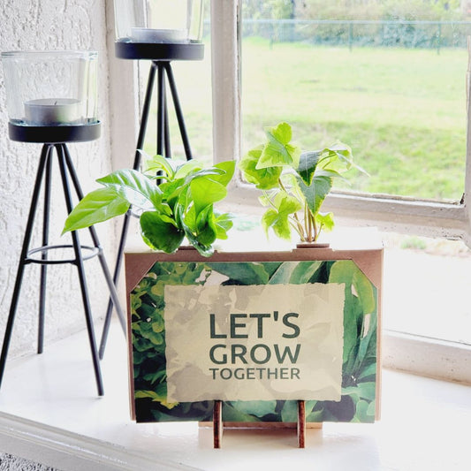 BloomsBox Mini - Blooms out of the Box