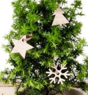 Houten kersthangers - Blooms out of the Box