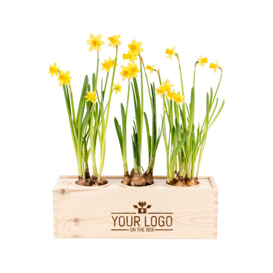 Gepersonaliseerd zakelijk geschenk met narcissen