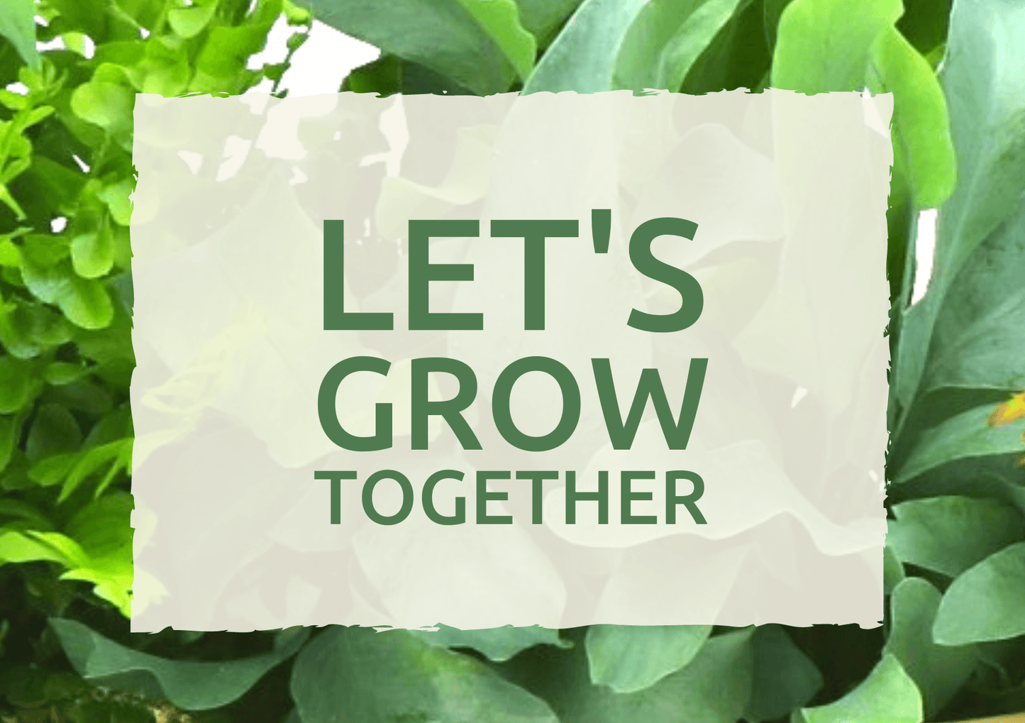 Wenskaart 'Let's grow together' - Blooms out of the Box