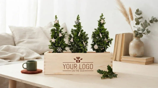 De 10 meest originele kerst relatiegeschenken 2026 - Blooms out of the Box