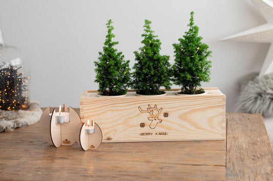 Relatiegeschenk kerst BloomsBox merry xmas