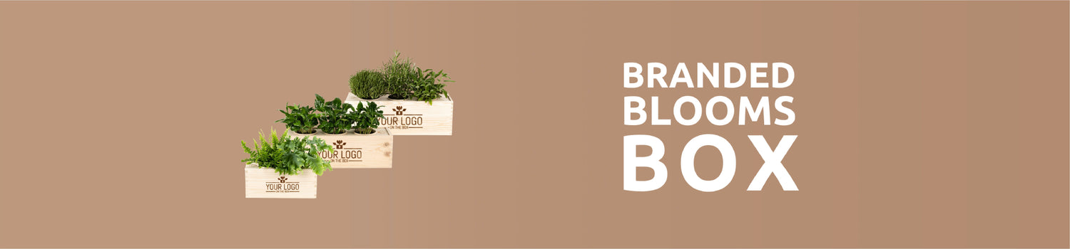 Branded BloomsBox