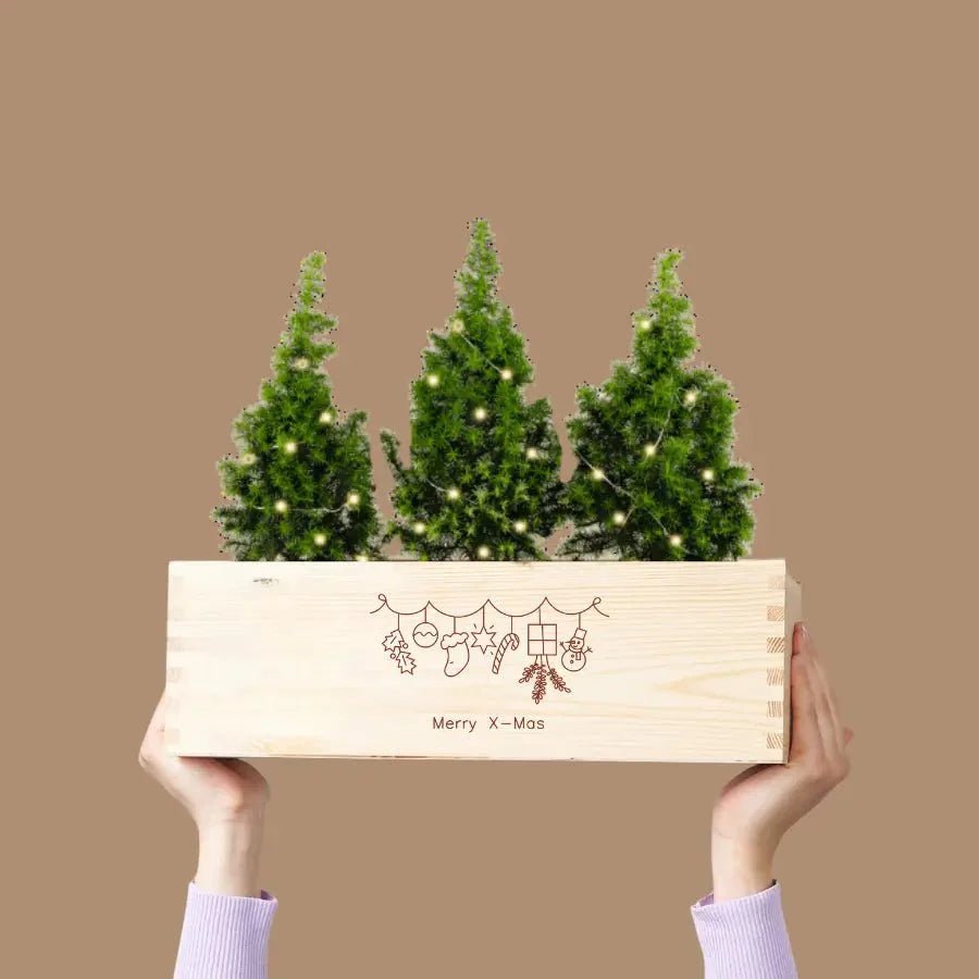 Fröhliche Weihnachten! 