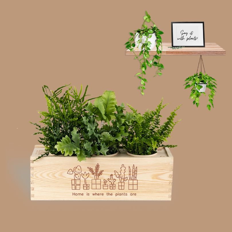 Ein origineller Spruch!