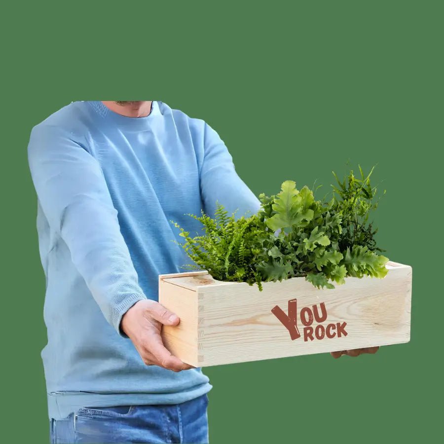 Ein Geschenk für Topper