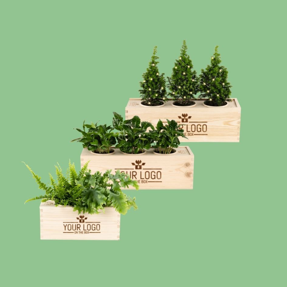Personalisierte BloomsBox (ab 10 Stück)