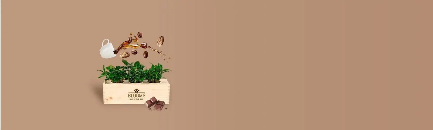 Gift for Good BloomsBoxen