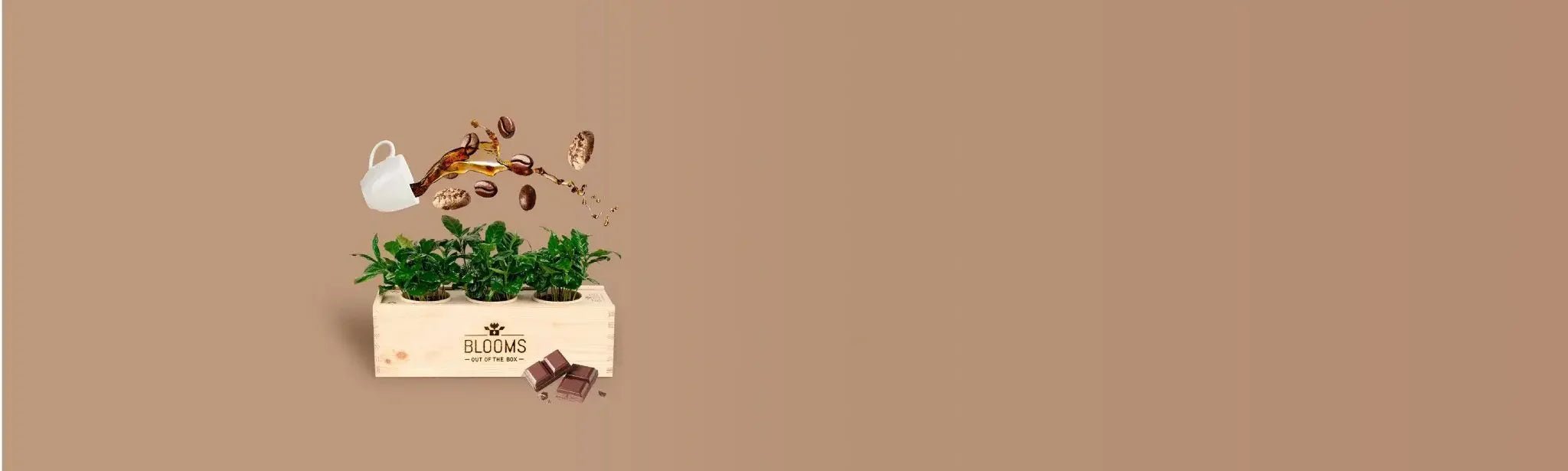 Gift for Good BloomsBoxen