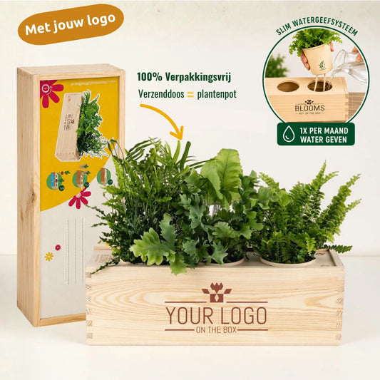 Houten kist met luchtzuiverende planten: productfoto met de voordelen in het kort, Nature out of the Box L