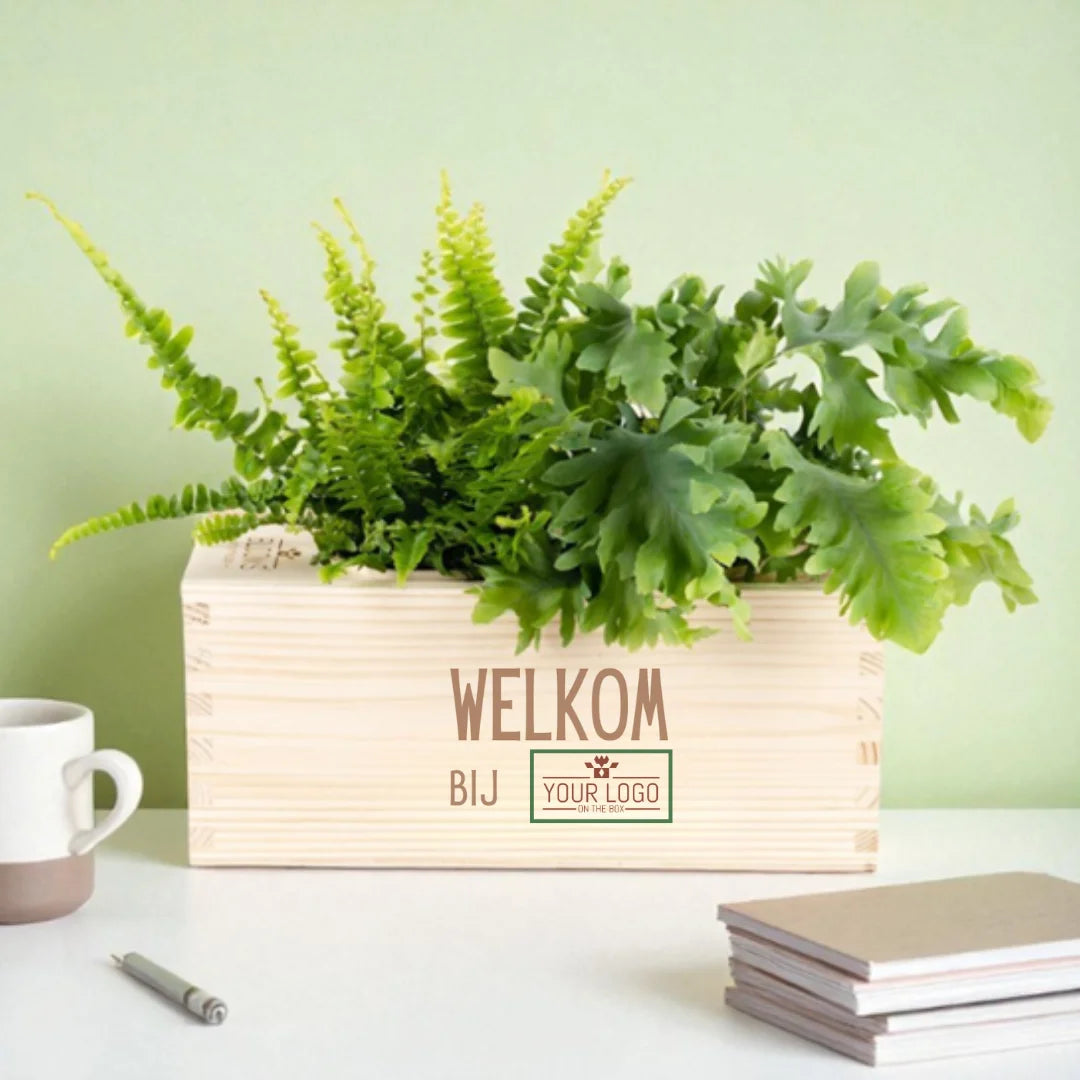 Nature out of the Box - M - Personalisiert pro Stück