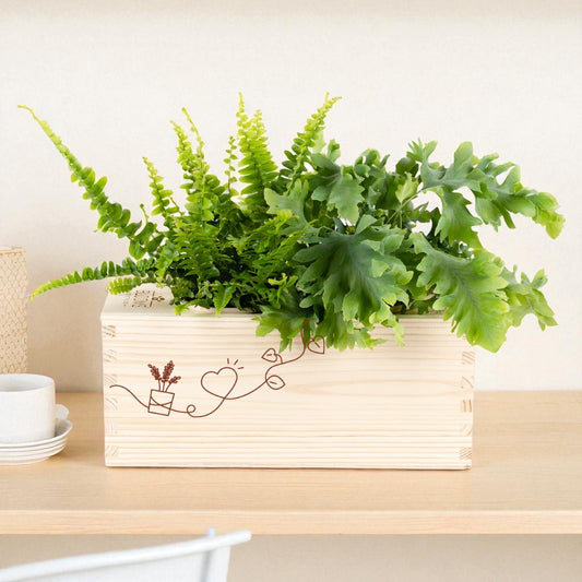 BloomsBox 'Einfach so' - M