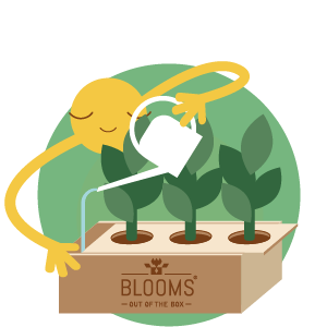 Door het slimme watergeefsysteem heb je geen omkijken naar het verzorgen van de planten in de BloomsBox. 