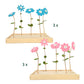 Happy Blooms „Das verdient einen Blumenstrauß“