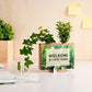 Nature out of the Box - Mini