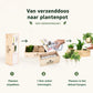 BloomsBox 'Hallo Baby' - M
