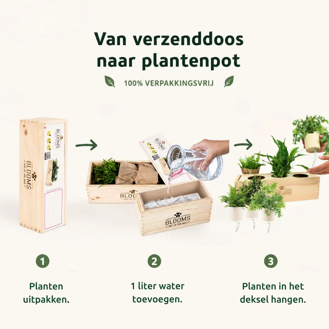 BloomsBox 'Hallo Baby' - M