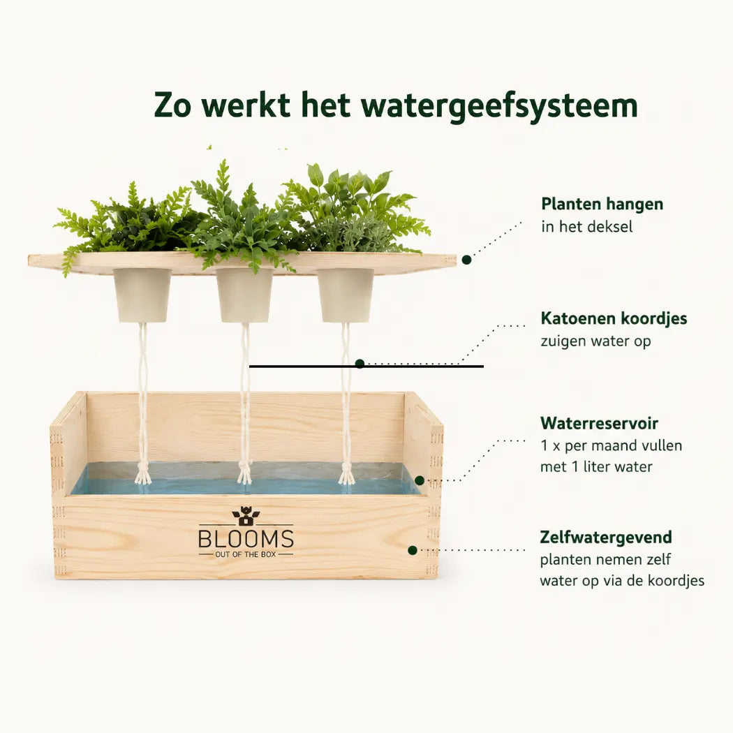 Happy Herbals - Citrus Spritz