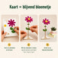 Bloemenpost- One (12 stk) - duurzaam bloem- & plantcadeau | Blooms out of the Box