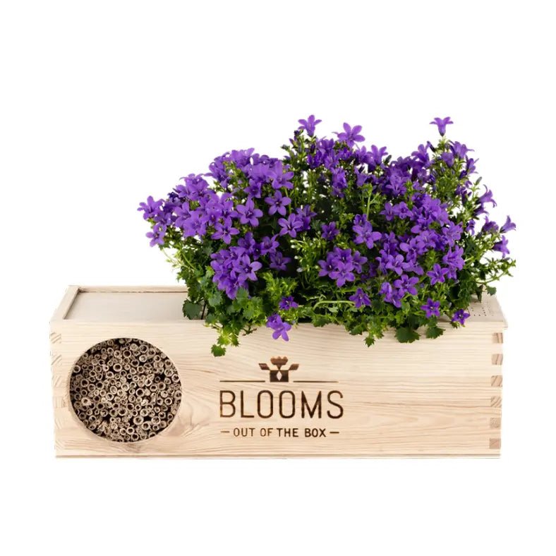 BloomsBox mit Firmenlogo