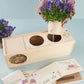 Blooms & Bees Original - Blooms out of the Box