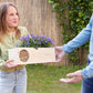 Blooms & Bees Original - Blooms out of the Box