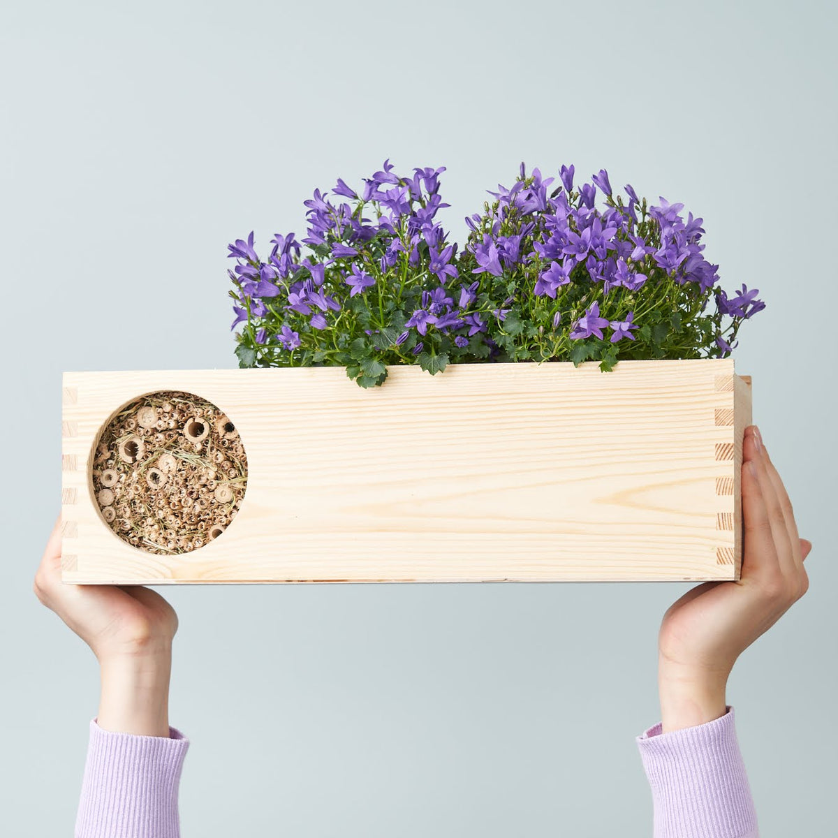 Blooms & Bees out of the Box - L (vanaf 10) - duurzaam bloem- & plantcadeau | Blooms out of the Box