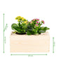 BloomsBox 'Bedankt' - M - Blooms out of the Box