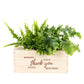 BloomsBox 'Bedankt' - M - Blooms out of the Box