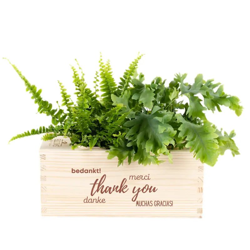 BloomsBox 'Bedankt' - M - Blooms out of the Box