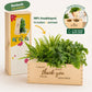 BloomsBox 'Bedankt' - M - Blooms out of the Box
