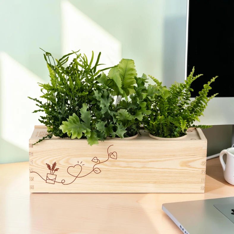 BloomsBox 'Denk aan je' - L - duurzaam bloem- & plantcadeau | Blooms out of the Box