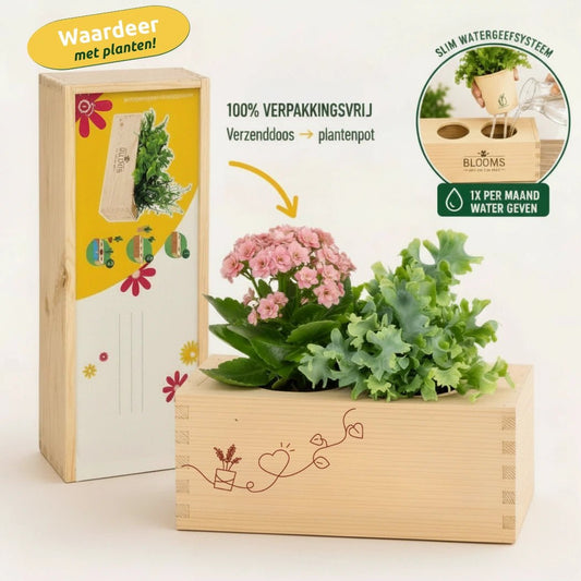 BloomsBox 'Denk aan je' - M - Blooms out of the Box