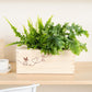 BloomsBox 'Denk aan je' - M - duurzaam bloem- & plantcadeau | Blooms out of the Box