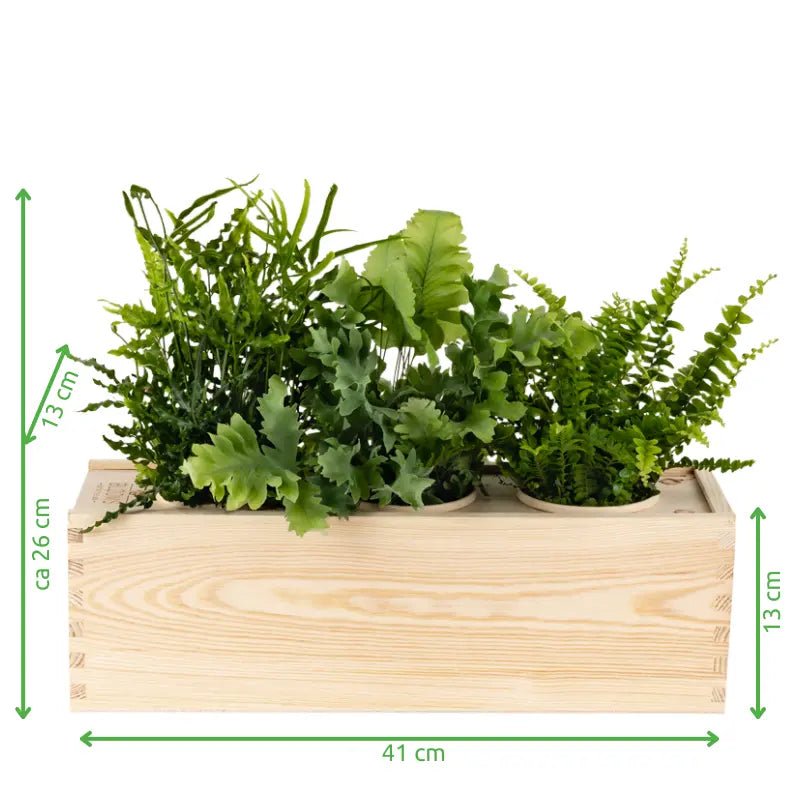 BloomsBox 'Greener planet' - L - Blooms out of the Box