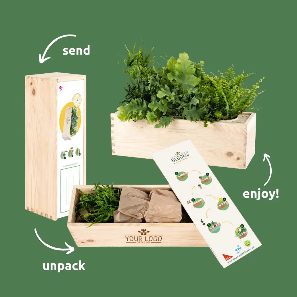 BloomsBox 'Greener planet' - L - Blooms out of the Box