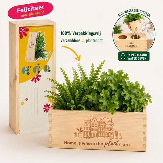 BloomsBox 'Home is where plants are' - M - Blooms out of the Box