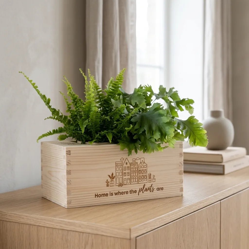 BloomsBox 'Home is where plants are' - M - duurzaam bloem- & plantcadeau | Blooms out of the Box