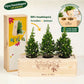 BloomsBox 'Merry Xmas' - Verlichte kerstboompjes - Blooms out of the Box