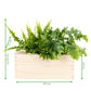 BloomsBox Original - M - Blooms out of the Box
