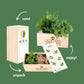 BloomsBox Original - M - Blooms out of the Box