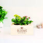 BloomsBox Original - M - Blooms out of the Box